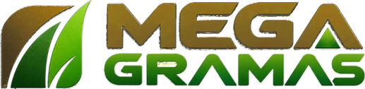 MegaGramas